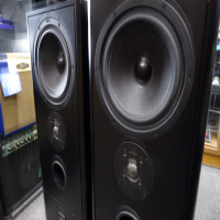 <p>Lovely speakers with a well-balanced, smooth frequency response.</p><p>Controlled and musical bass end, well-defined top-end.</p><p>A few light marks (pictured), otherwise good condition.&nbsp;</p><p>With front grilles.</p><p>Dimensions: 240 x 800 x 270 mm<br />Weight: 15,5 kg<br />Type: 2-way bass reflex, floorstanding speaker<br />Woofer: 200 mm<br />Tweeter: 25 mm dome tweeter<br /><br /></p>